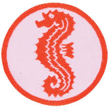 Fortgeschrittenen Schwimmkurs