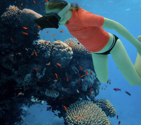 Virtual-Reality-Schnorcheln